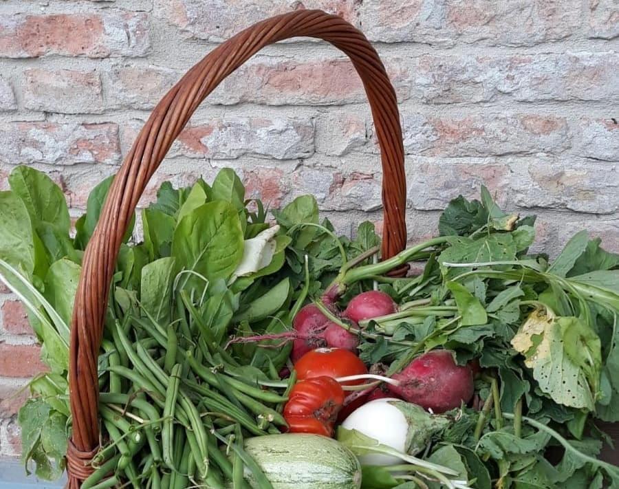 Вилла Cascina Angelina Casteggio Экстерьер фото